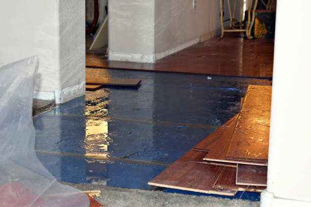 Professional Water Damage Restoration technician working in DeLand, FL